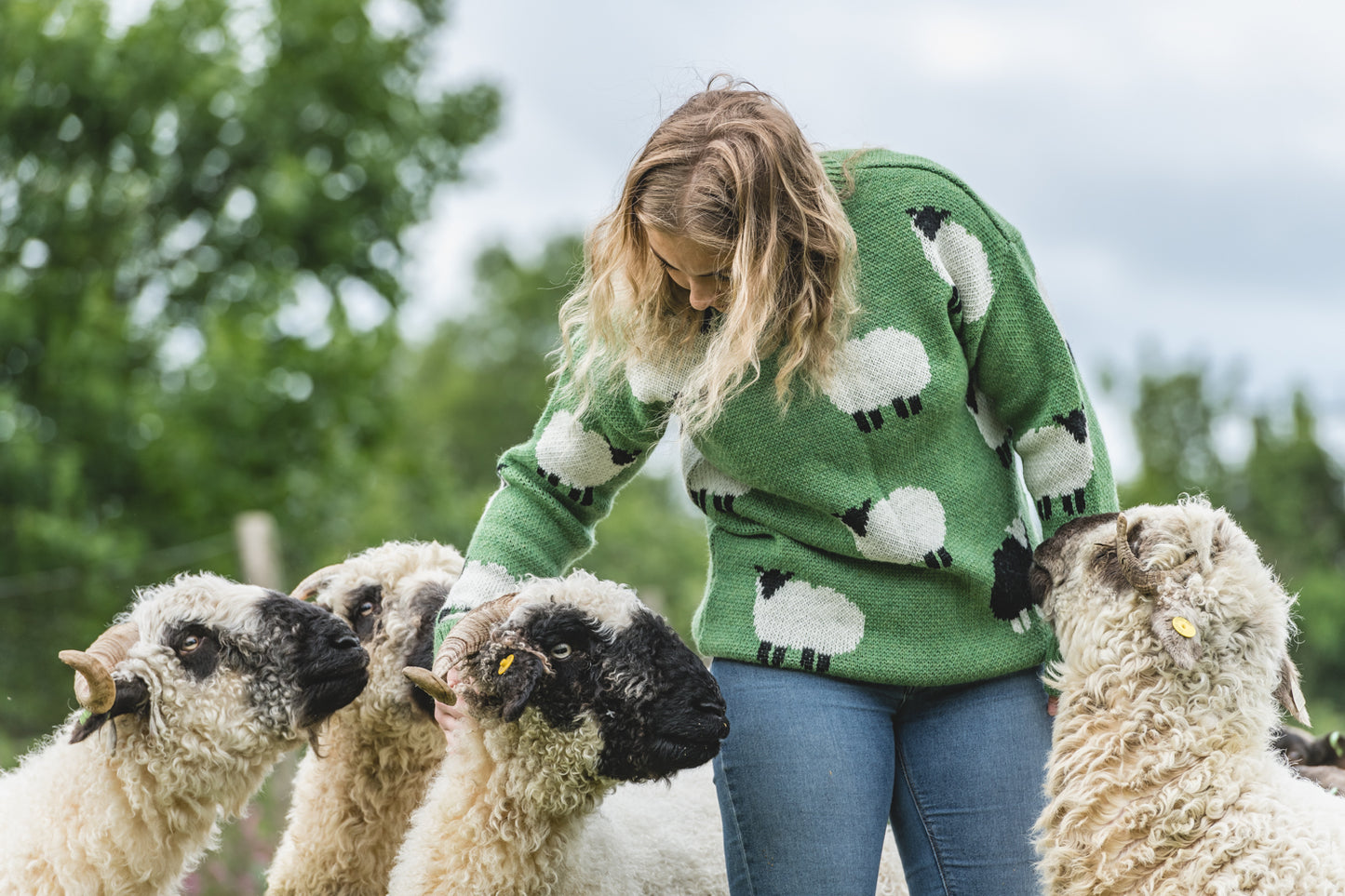The Woolavington - Black Sheep Jumper - Dopamine Green