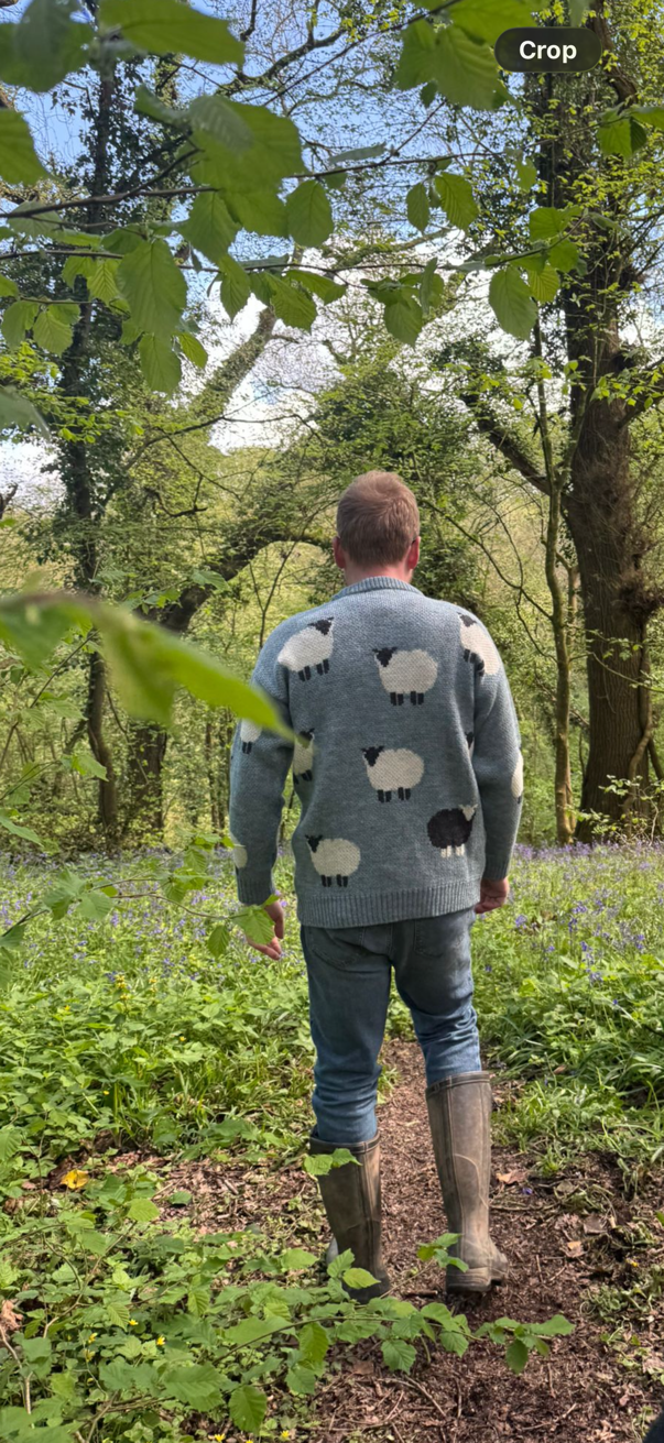 The Woolavington - Black Sheep Jumper - Summer Storm
