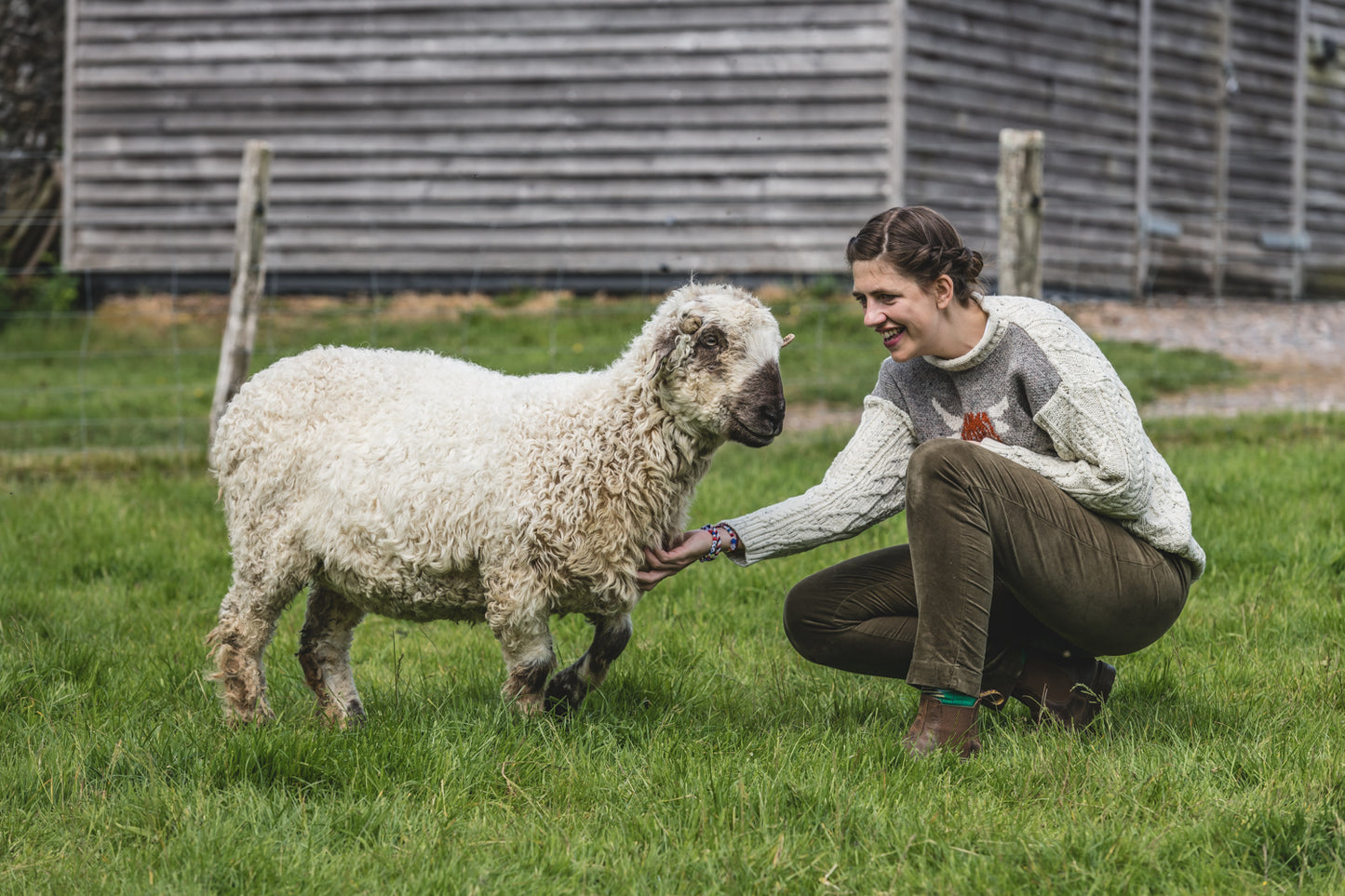 The Pilton - Highland Cow Knitted Jumper