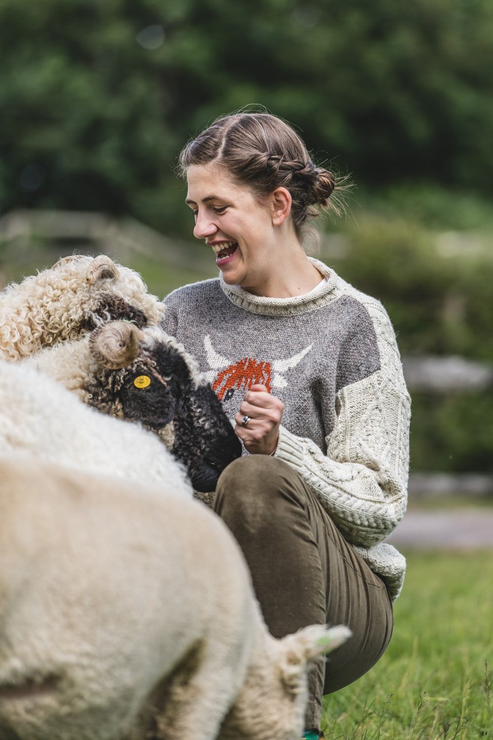 The Pilton - Highland Cow Knitted Jumper
